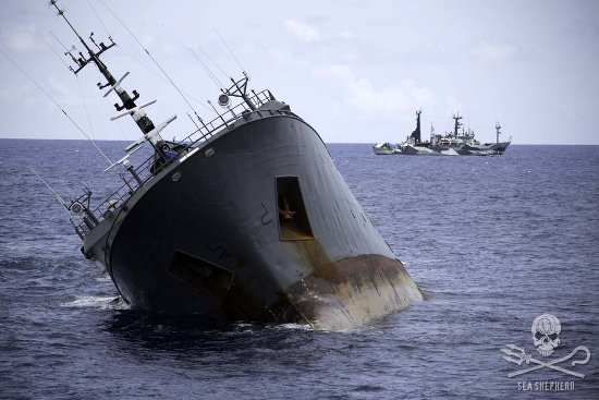 news 150406 2 4 SA Thunder Sinking 0 066A4858 550w