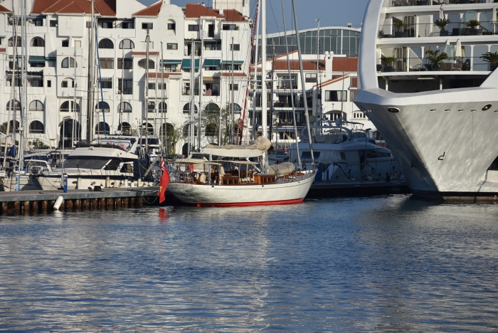 DSC 1620