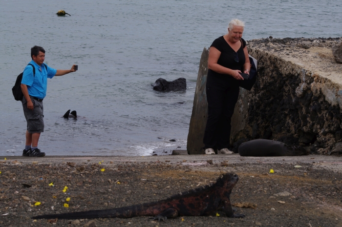galapagos3ny