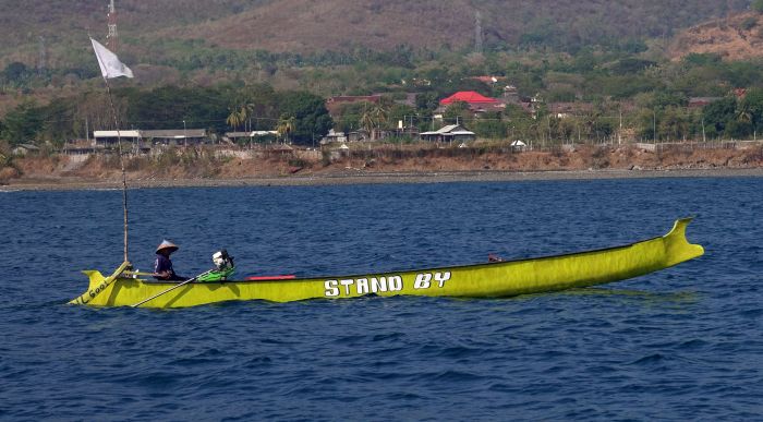 fiskebat2