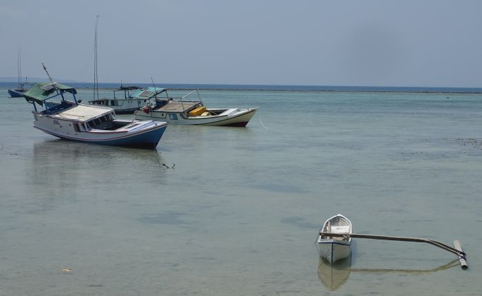 fiskebat7