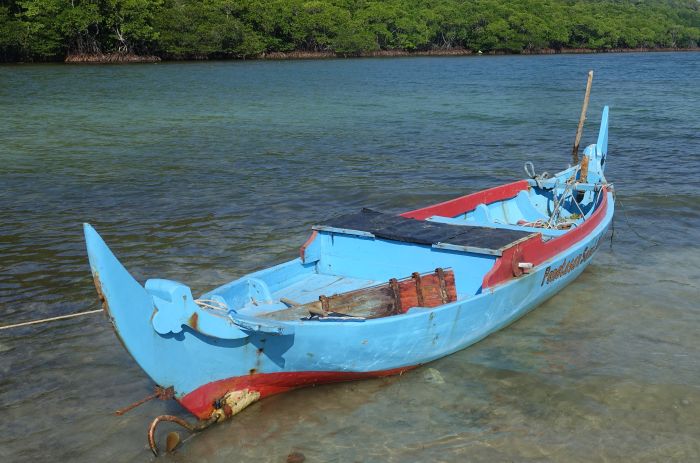 fiskebat8