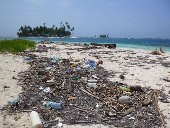 På stränderna ut mot Karibiska sjön samlas plastflaskorna, trots att urinvånarna krattar och eldar så det luktar skit i vikarna. skrap