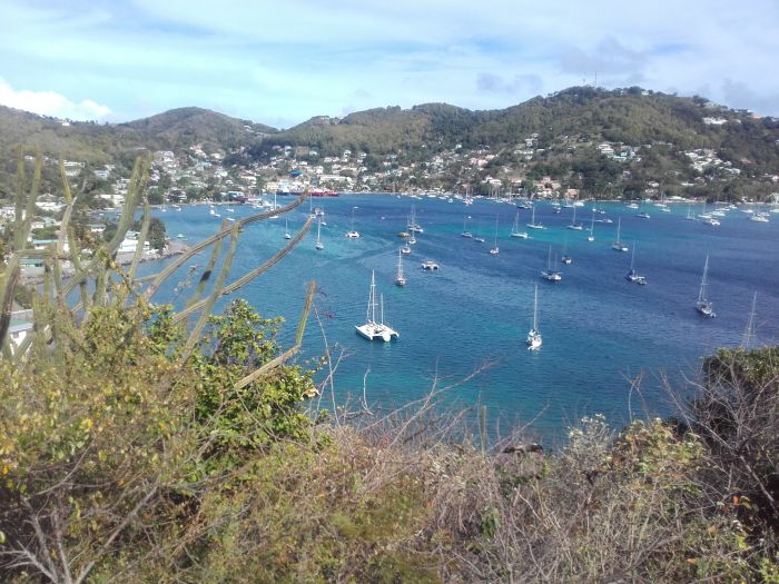Ankarviken på Bequia. bequia