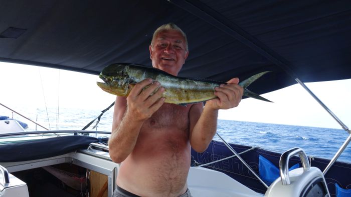 En guldmakrill fick vi på väg till Maldiverna. fisk
