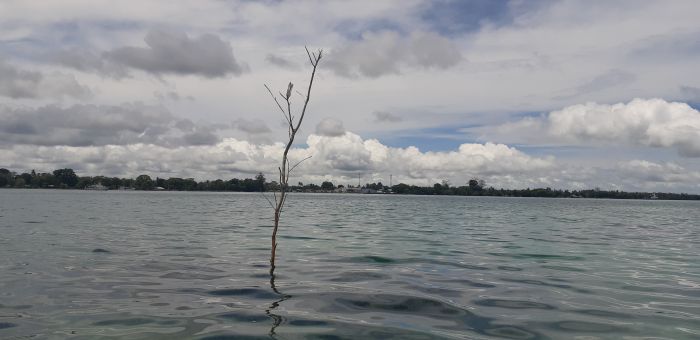 Prick i Kavieng prick