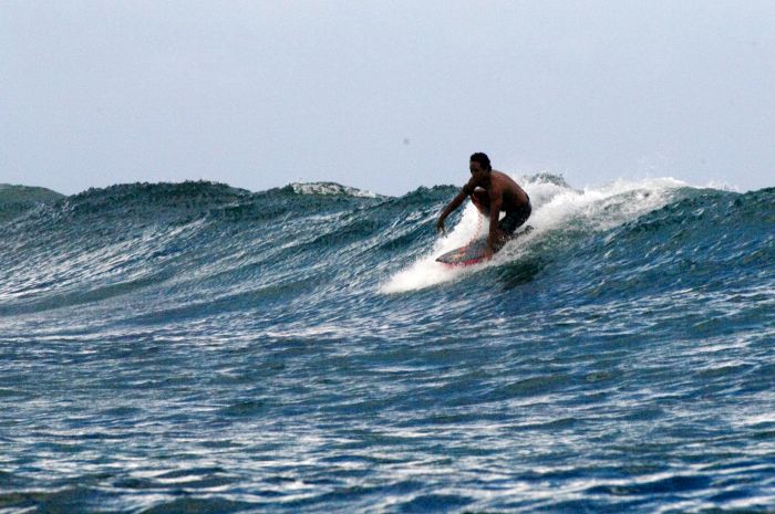 surfare
