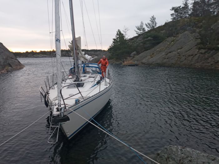 Egen nyårsvik. nyar