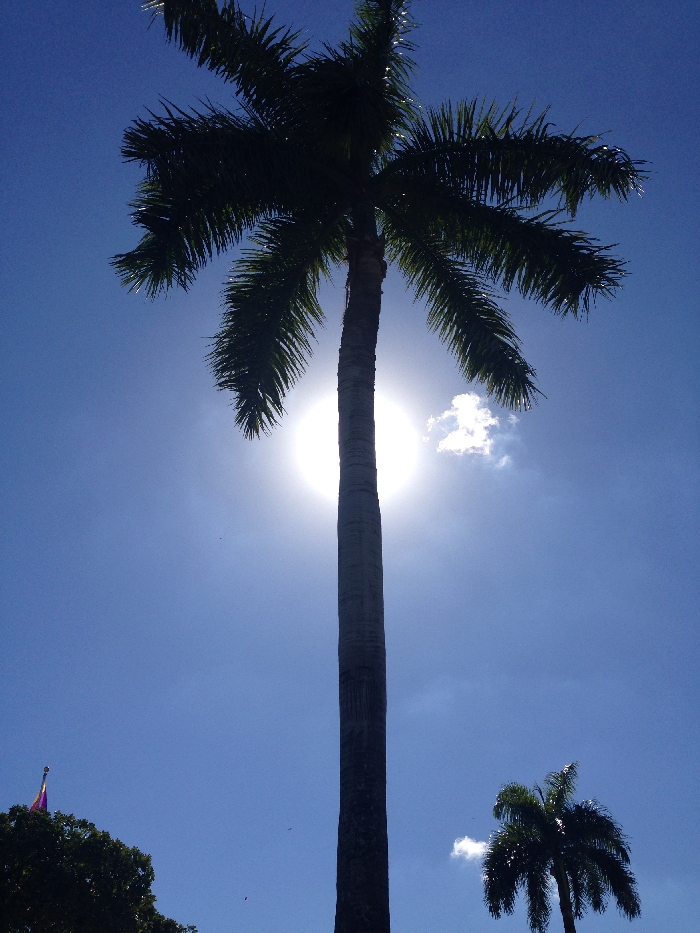 miami001